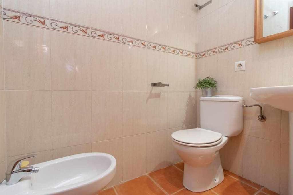 Aceite Duplex En El Centro Historico De Malaga Lägenhet Exteriör bild